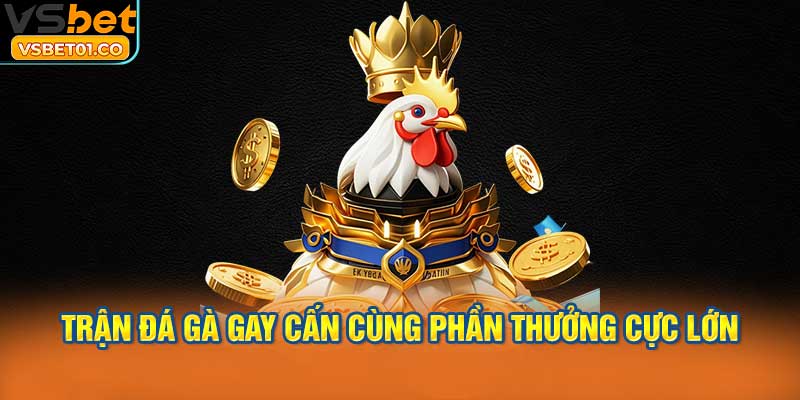 Trận đá gà gay cấn cùng phần thưởng cực lớn