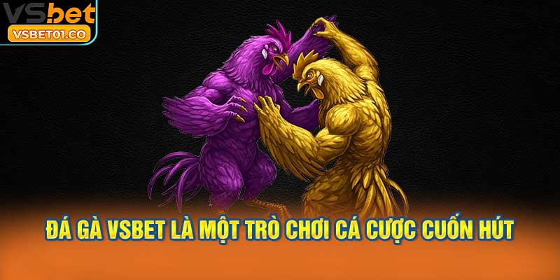 Đá gà VSBet